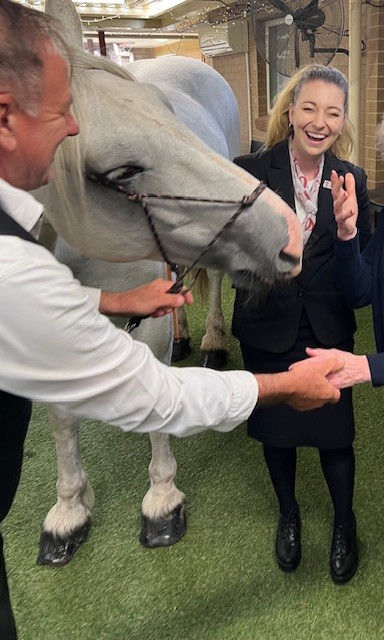 Tuckers funeral director with horse