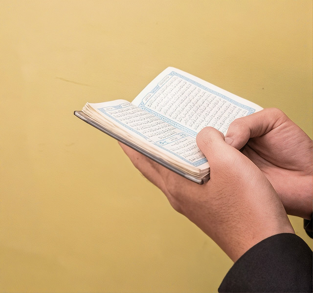 person holding a book